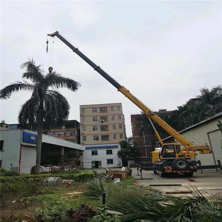 道真汽车吊出租多少钱？全面解析与市场行情